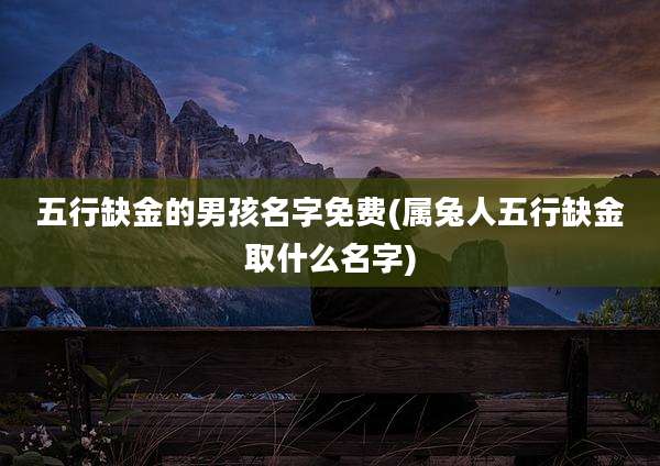 五行缺金的男孩名字免费(属兔人五行缺金取什么名字)