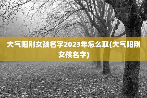 大气阳刚女孩名字2023年怎么取(大气阳刚女孩名字)