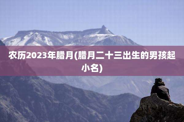农历2023年腊月(腊月二十三出生的男孩起小名)