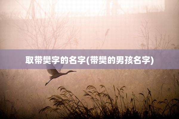 取带樊字的名字(带樊的男孩名字)