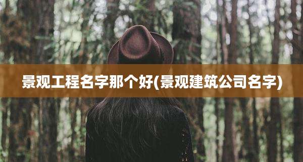景观工程名字那个好(景观建筑公司名字)