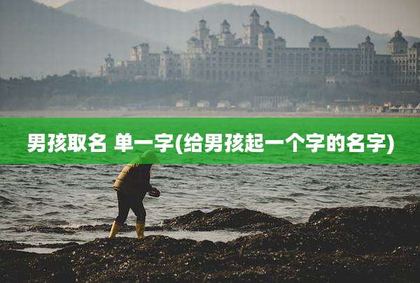 男孩取名 单一字(给男孩起一个字的名字)