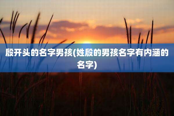 殷开头的名字男孩(姓殷的男孩名字有内涵的名字)