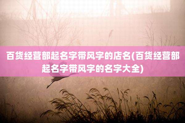 百货经营部起名字带风字的店名(百货经营部起名字带风字的名字大全)
