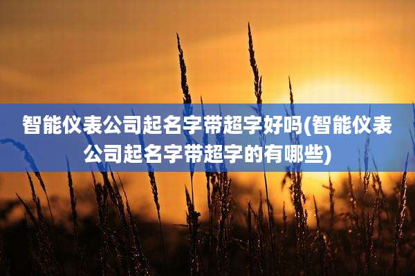 智能仪表公司起名字带超字好吗(智能仪表公司起名字带超字的有哪些)