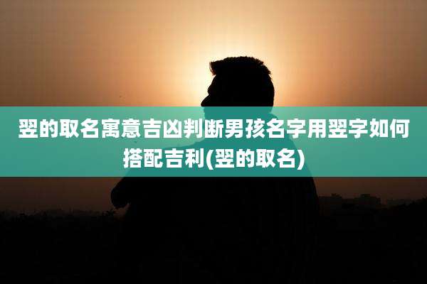 翌的取名寓意吉凶判断男孩名字用翌字如何搭配吉利(翌的取名)