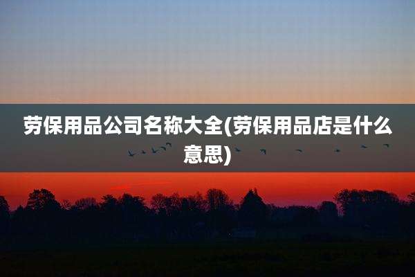 劳保用品公司名称大全(劳保用品店是什么意思)