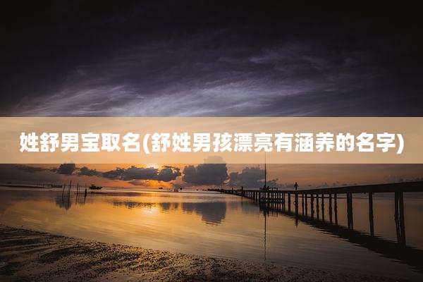 姓舒男宝取名(舒姓男孩漂亮有涵养的名字)