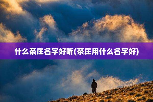 什么茶庄名字好听(茶庄用什么名字好)