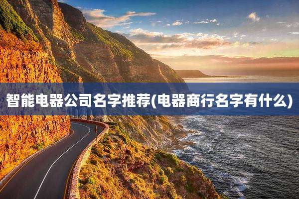 智能电器公司名字推荐(电器商行名字有什么)