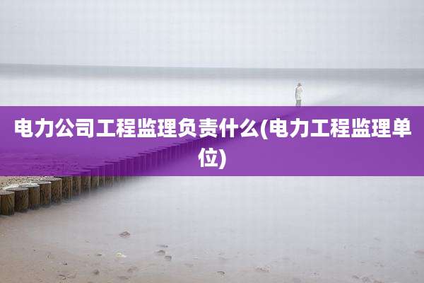 电力公司工程监理负责什么(电力工程监理单位)