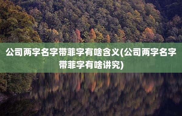 公司两字名字带菲字有啥含义(公司两字名字带菲字有啥讲究)
