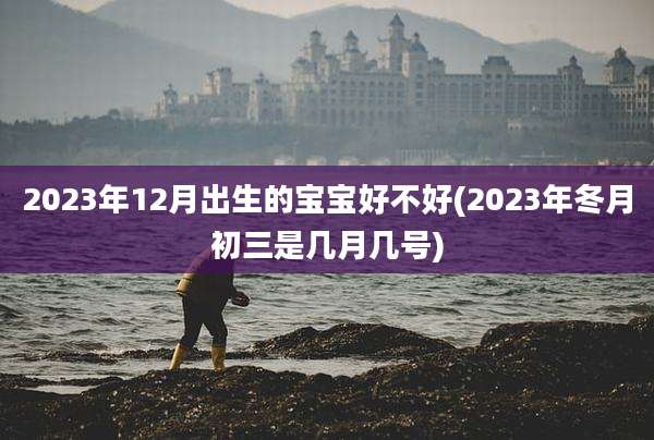 2023年12月出生的宝宝好不好(2023年冬月初三是几月几号)