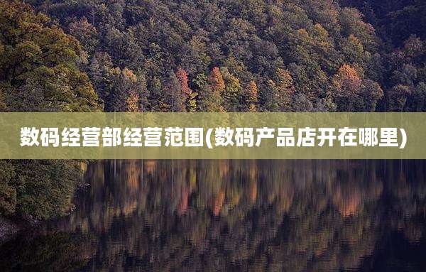 数码经营部经营范围(数码产品店开在哪里)