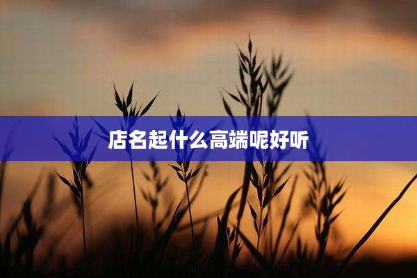 店名起什么高端呢好听