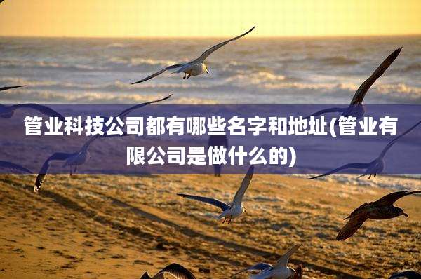 管业科技公司都有哪些名字和地址(管业有限公司是做什么的)