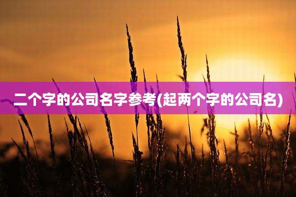 二个字的公司名字参考(起两个字的公司名)