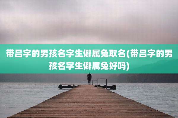 带吕字的男孩名字生僻属兔取名(带吕字的男孩名字生僻属兔好吗)