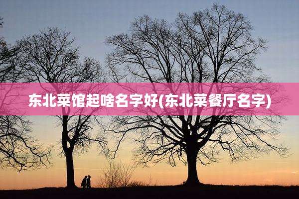 东北菜馆起啥名字好(东北菜餐厅名字)