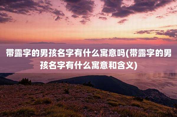 带露字的男孩名字有什么寓意吗(带露字的男孩名字有什么寓意和含义)
