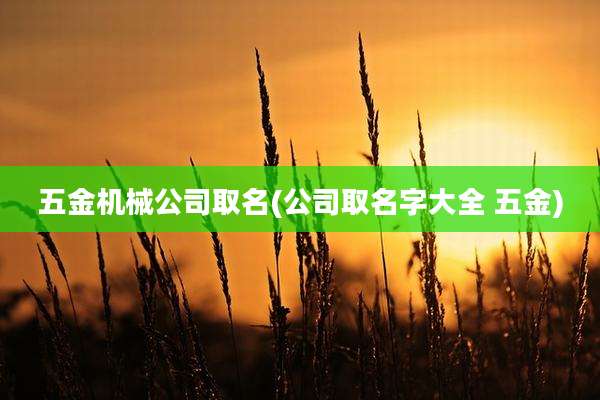 五金机械公司取名(公司取名字大全 五金)