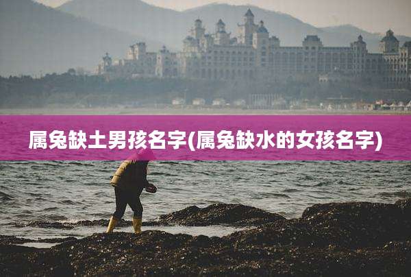 属兔缺土男孩名字(属兔缺水的女孩名字)