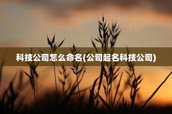 科技公司怎么命名(公司起名科技公司)