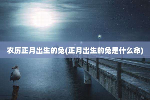 农历正月出生的兔(正月出生的兔是什么命)