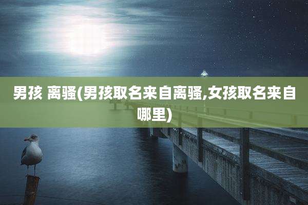 男孩 离骚(男孩取名来自离骚,女孩取名来自哪里)
