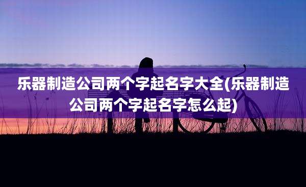 乐器制造公司两个字起名字大全(乐器制造公司两个字起名字怎么起)