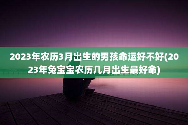 2023年农历3月出生的男孩命运好不好(2023年兔宝宝农历几月出生最好命)
