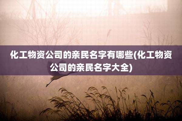 化工物资公司的亲民名字有哪些(化工物资公司的亲民名字大全)