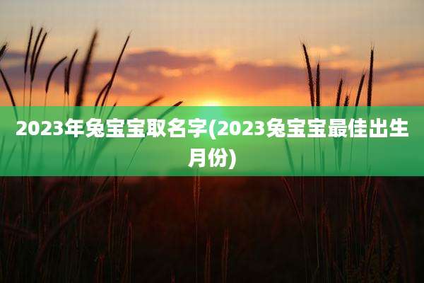 2023年兔宝宝取名字(2023兔宝宝最佳出生月份)