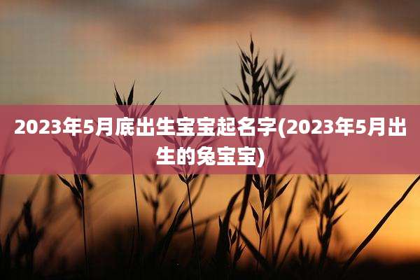 2023年5月底出生宝宝起名字(2023年5月出生的兔宝宝)