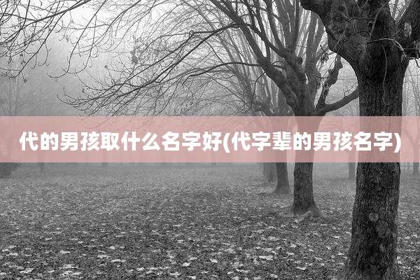 代的男孩取什么名字好(代字辈的男孩名字)