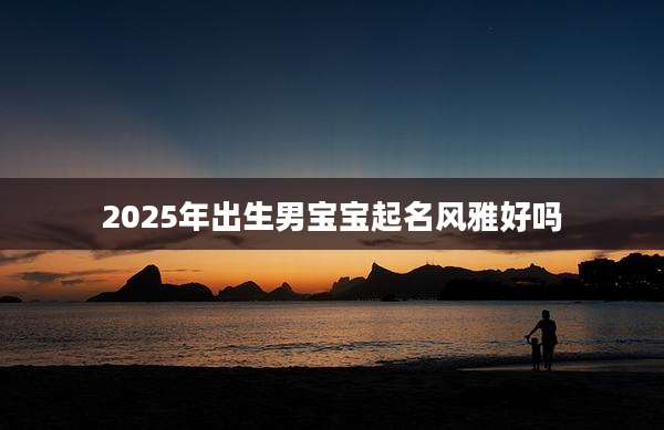 2025年出生男宝宝起名风雅好吗