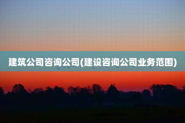 建筑公司咨询公司(建设咨询公司业务范围)
