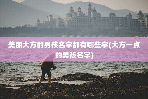 美丽大方的男孩名字都有哪些字(大方一点的男孩名字)