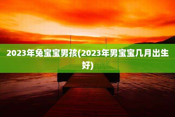 2023年兔宝宝男孩(2023年男宝宝几月出生好)