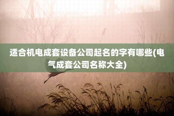 适合机电成套设备公司起名的字有哪些(电气成套公司名称大全)