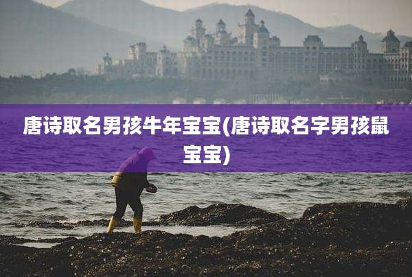 唐诗取名男孩牛年宝宝(唐诗取名字男孩鼠宝宝)