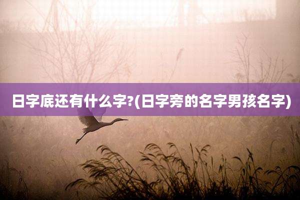 日字底还有什么字?(日字旁的名字男孩名字)
