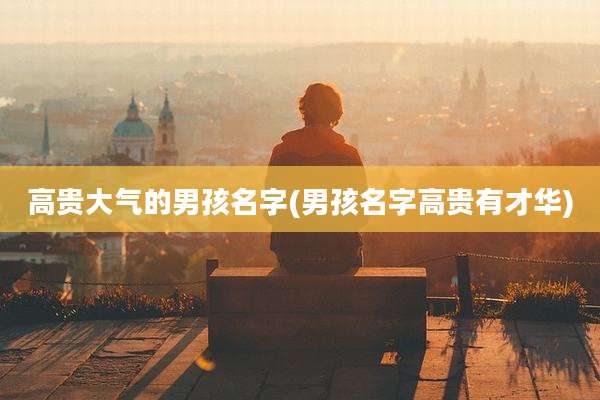 高贵大气的男孩名字(男孩名字高贵有才华)