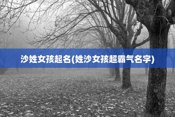 沙姓女孩起名(姓沙女孩超霸气名字)