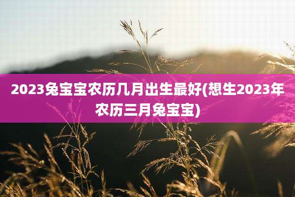 2023兔宝宝农历几月出生最好(想生2023年农历三月兔宝宝)