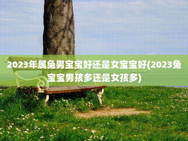 2023年属兔男宝宝好还是女宝宝好(2023兔宝宝男孩多还是女孩多)