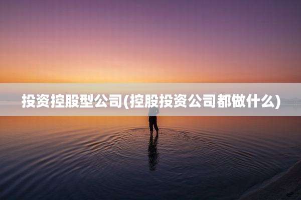投资控股型公司(控股投资公司都做什么)