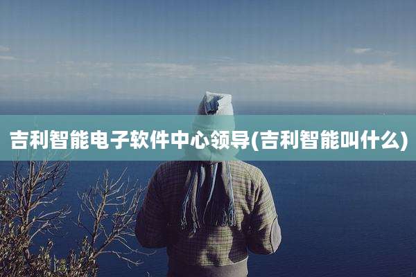 吉利智能电子软件中心领导(吉利智能叫什么)