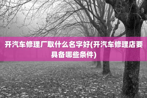 开汽车修理厂取什么名字好(开汽车修理店要具备哪些条件)