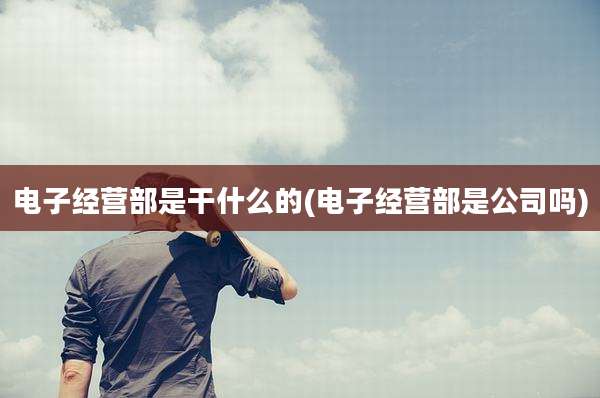 电子经营部是干什么的(电子经营部是公司吗)